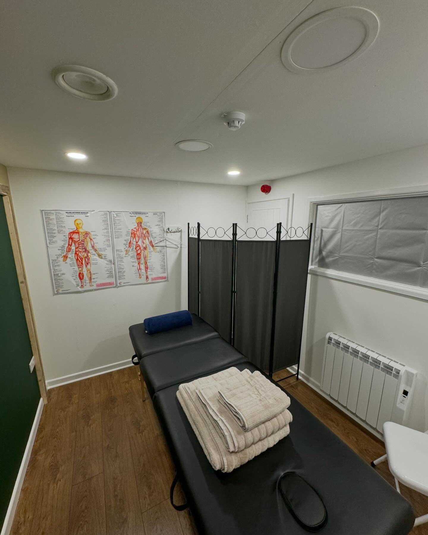 Treatment room with anatomy charts and privacy screen